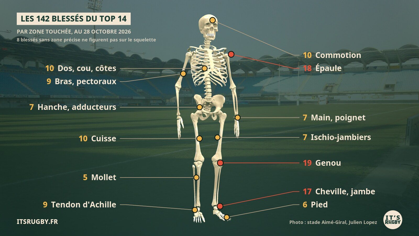 Squelette dans le stade Aimé-Giral, avec le nombre de blessés du Top 14 par zone au 28 octobre 2026 : genou 19, épaule 18, cheville et jambe 17, commotion 10, cuisse 10, dos 10, tendon d'Achille 9, bras et pectoraux 9, ischio-jambiers 7, hanche 7, main et poignet 7, pied 6, mollet 5.